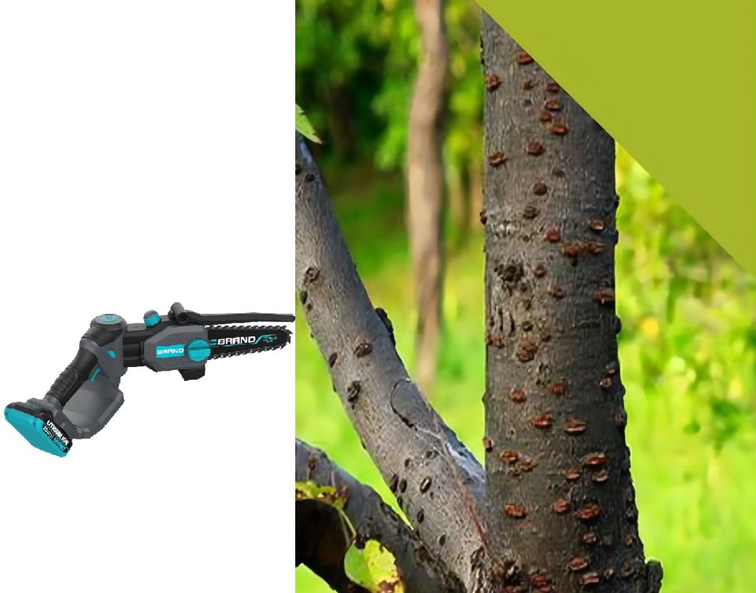 New-World First-Angled Adjustment-Patent Design-Li-ion-Battery-Cordless/Electric-Branches/Trees/Wood-Cutting Garden-Power Tools-Lopper/Chainsaw