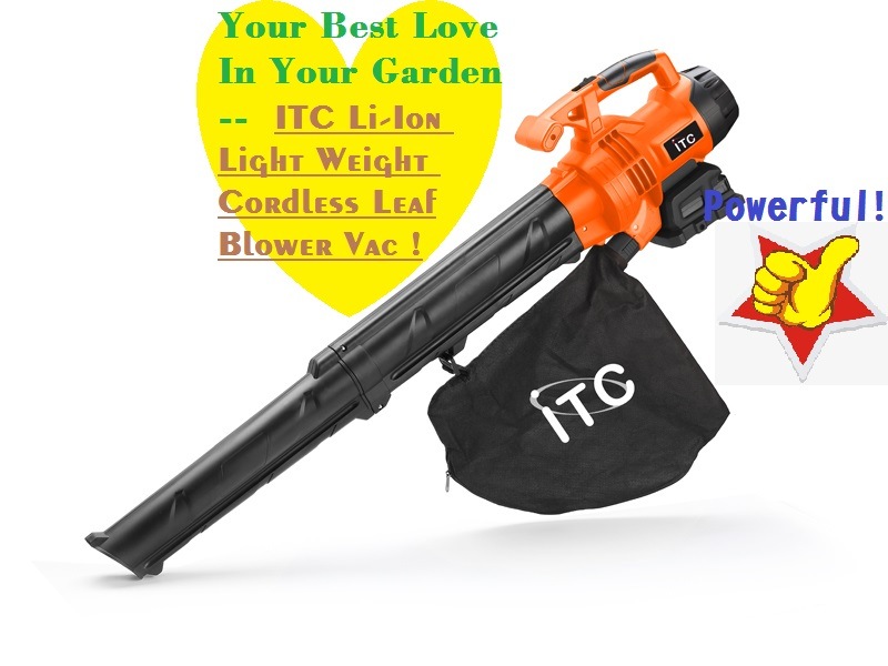 20V Powerful Lithium Battery Cordless Leaf Blower Vaccumm