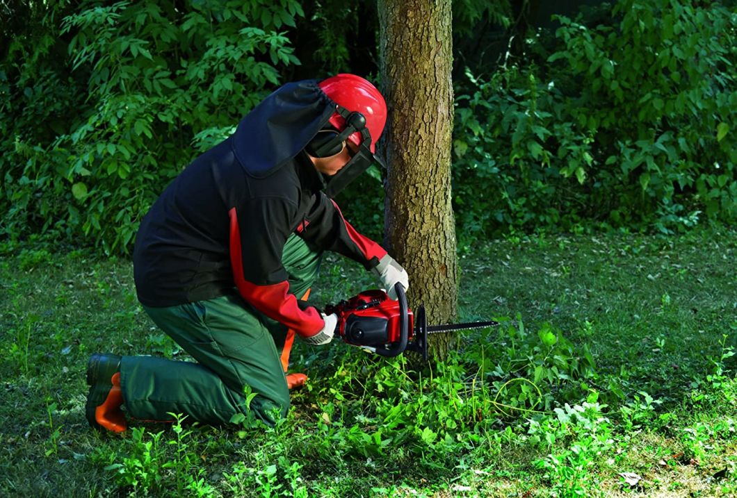 GPCS011 53cc 2200W Powerful Professional Petrol Chain Saw