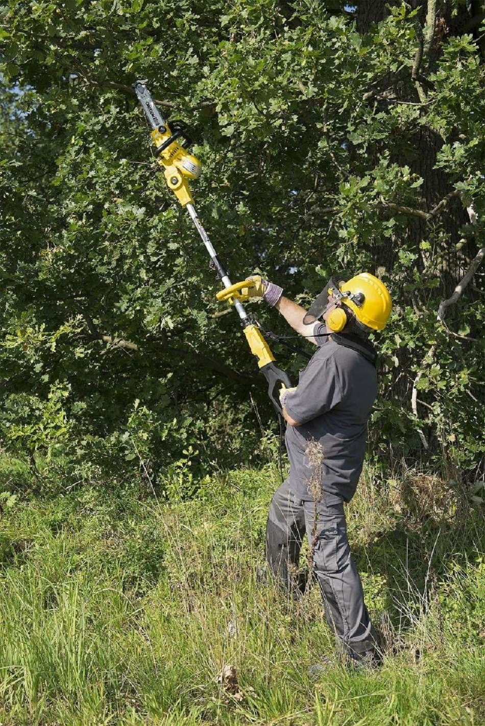 Professional/Patent 2in1 Multi Electric Pole/Telescopic Chainsaw/Lopper/Short Chainsaw-Garden Power Tools