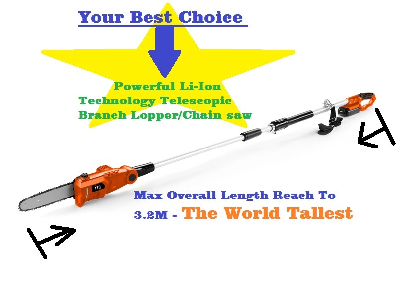 20V Li-ion Battery Cordless/Electric Garden Pole/Telescopic Chainsaw/Branch Lopper-Garden Power Tools