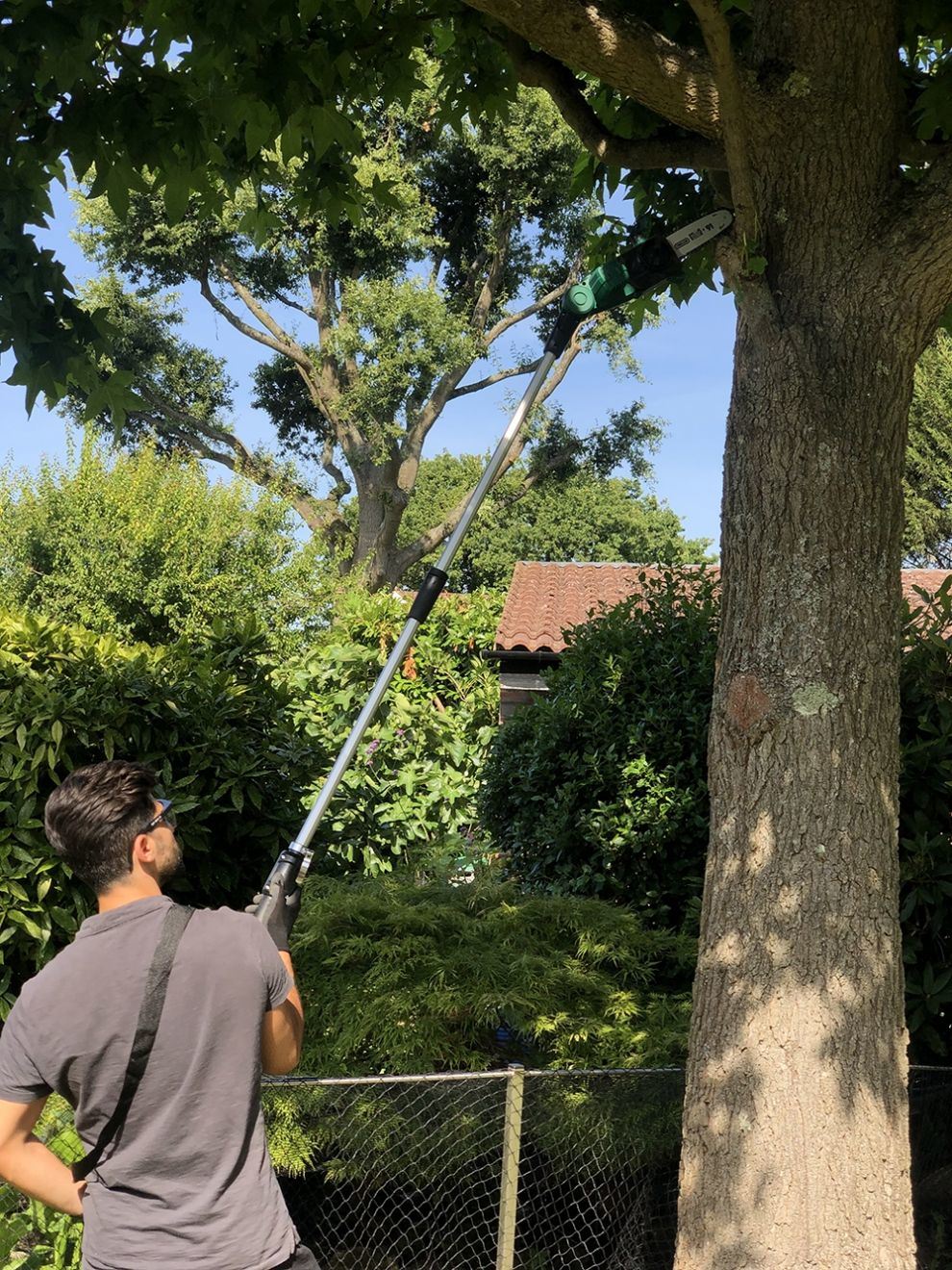 DC20V Brushless Motor-Li-ion Battery Cordless/Electric Garden Pole Chainsaw/Branch Lopper-Power Tools