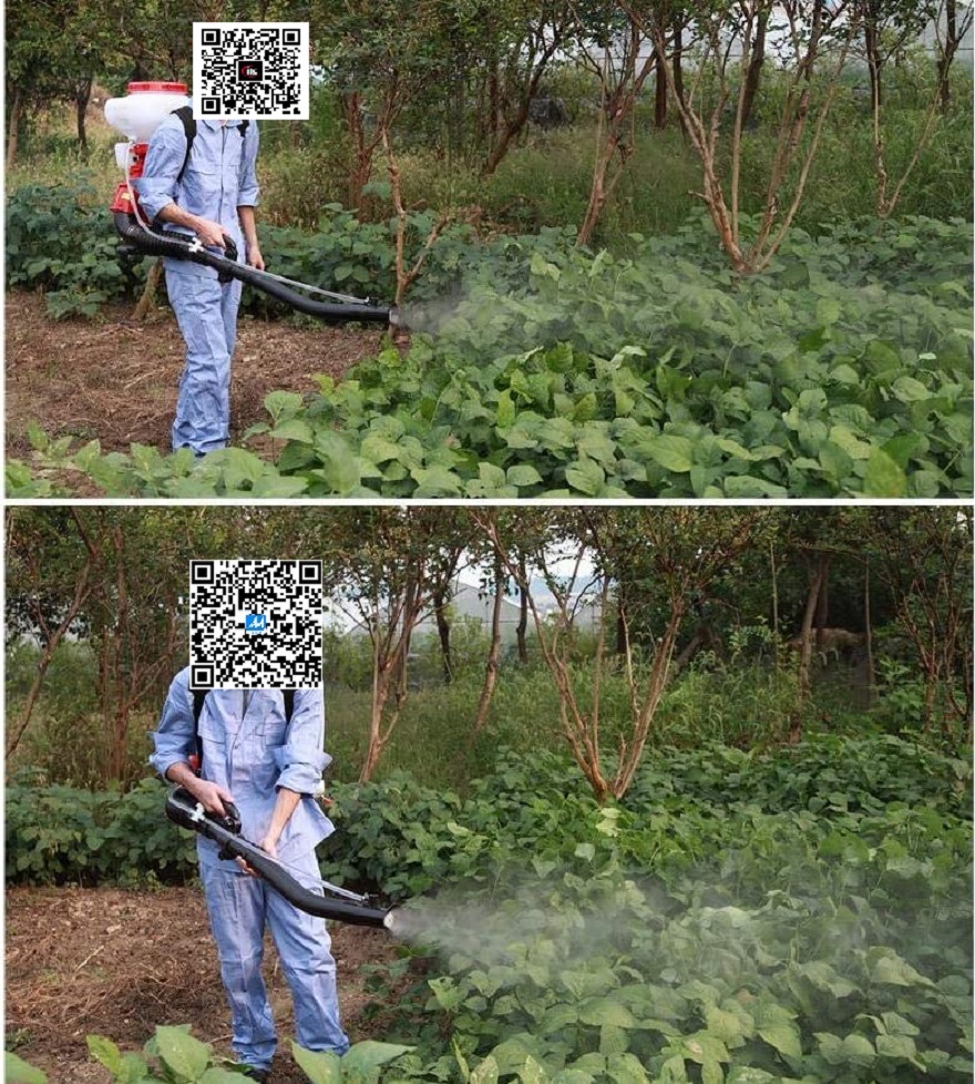 Professional Model-Gasoline Farm/Agricultural Sprayer/Spraying Machine-Garden Power Tools