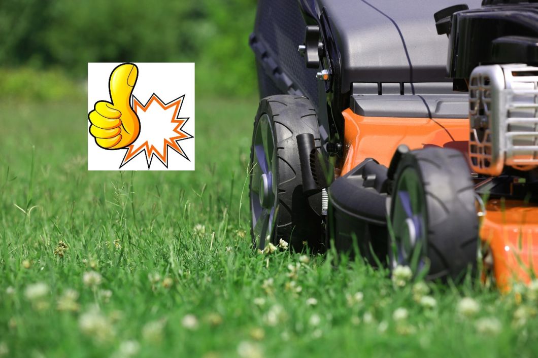 Gplm015 Professional Petrol Garden Lawnmower Power Tools