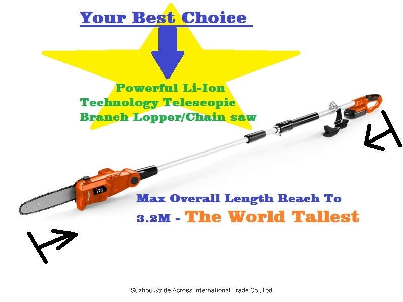 20V Powerful Telescopic Lithium Battery Cordless Chain Saw/Branch Lopper