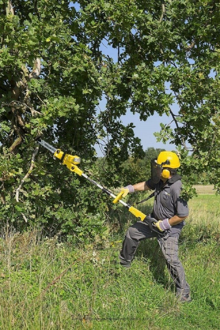 Powerful 2 in 1 Electric Telescopic Chain Saw /Hand Held Chain Saw