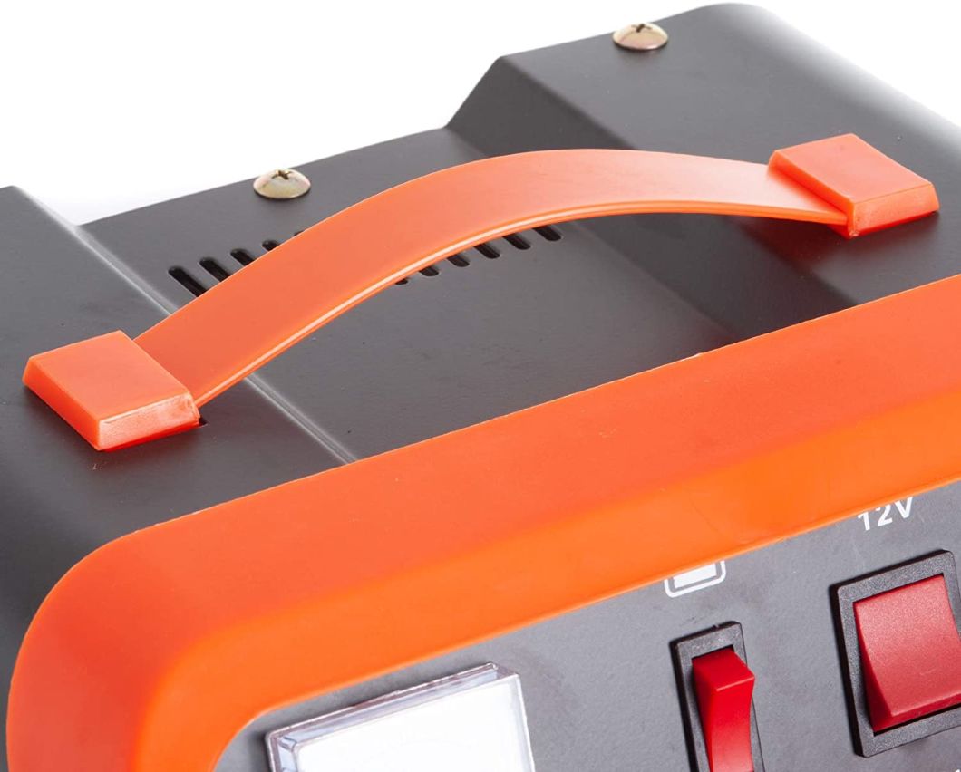 Battery Charger 12ampy 12V/24V with Battery Repair Technology