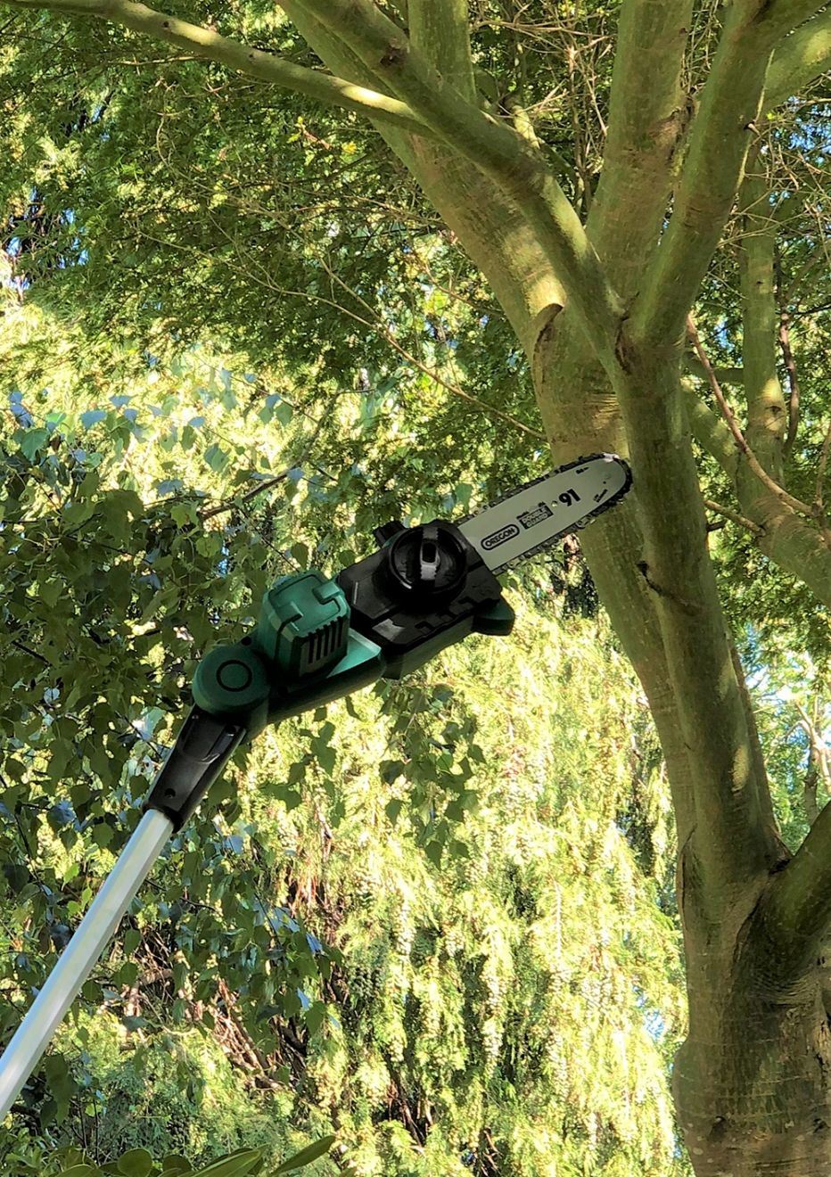 2021-New-3m Length Reach-Li-ion Battery Cordless/Electric Telescopic/Pole Garden Chainsaw/Branch Lopper-Power Tools