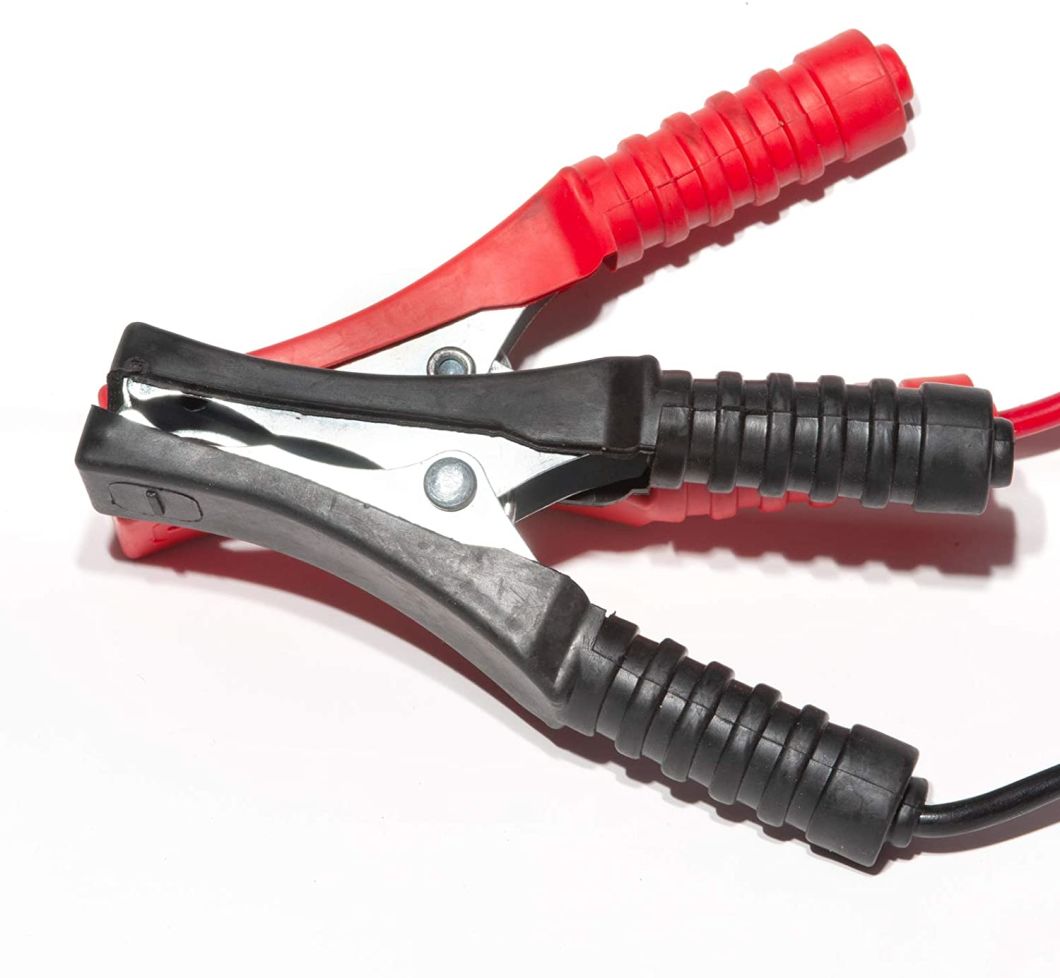 Battery Charger 12ampy 12V/24V with Battery Repair Technology