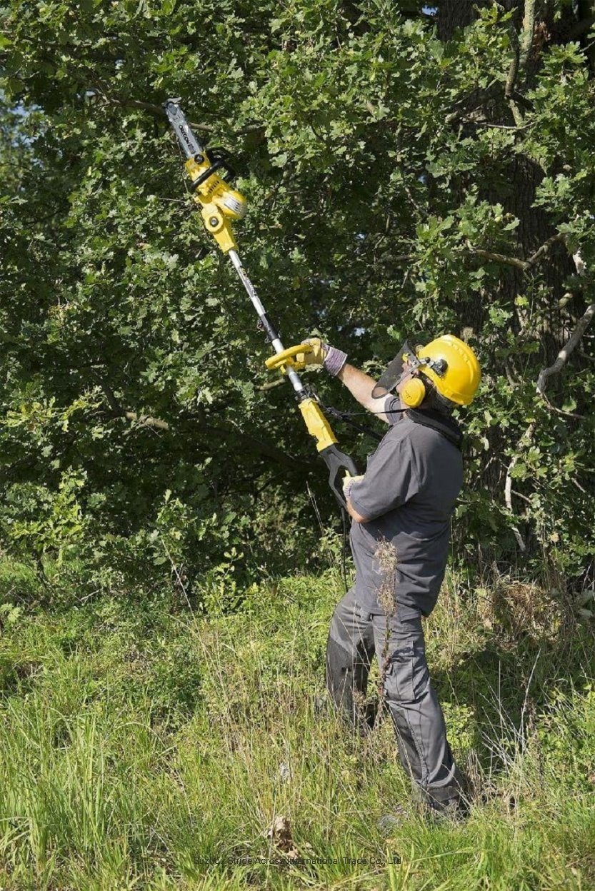 Powerful 2 in 1 Electric Telescopic Chain Saw /Hand Held Chain Saw